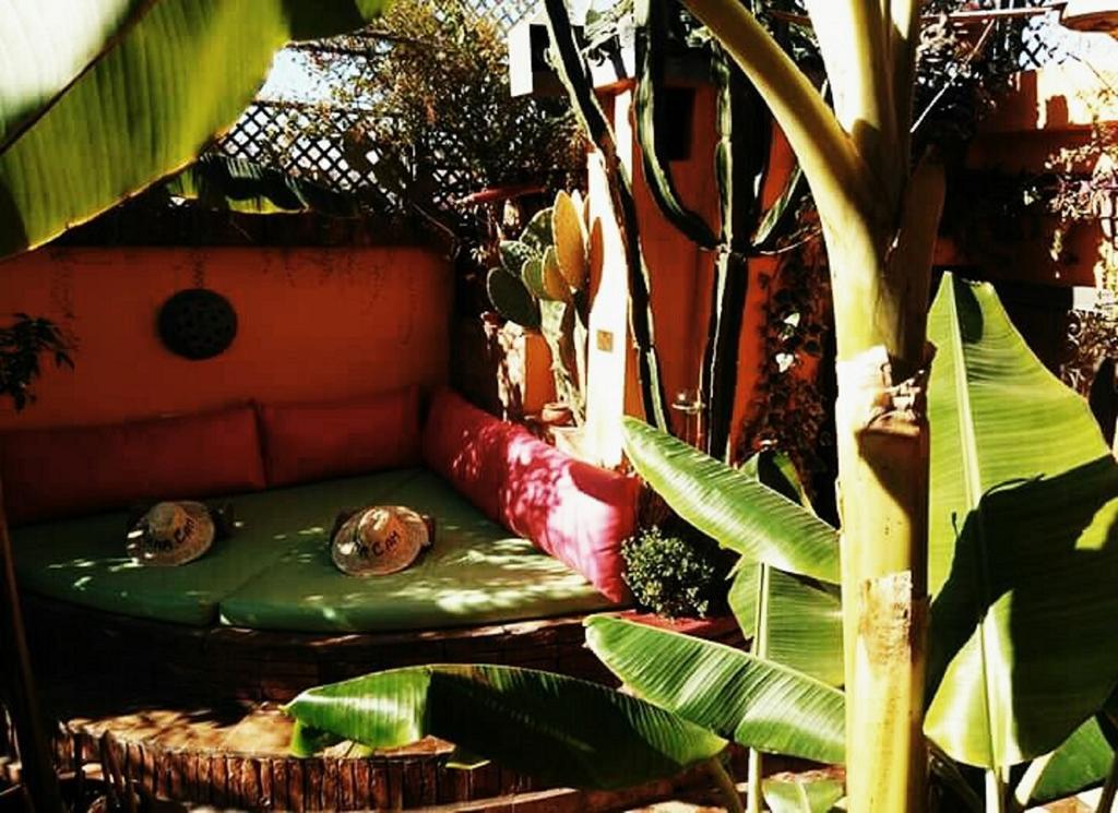 Riad Laith (Adults Only) Marrakesh Bagian luar foto
