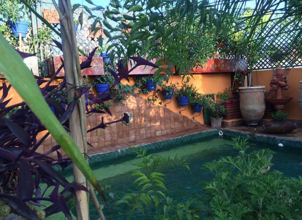 Riad Laith (Adults Only) Marrakesh Bagian luar foto
