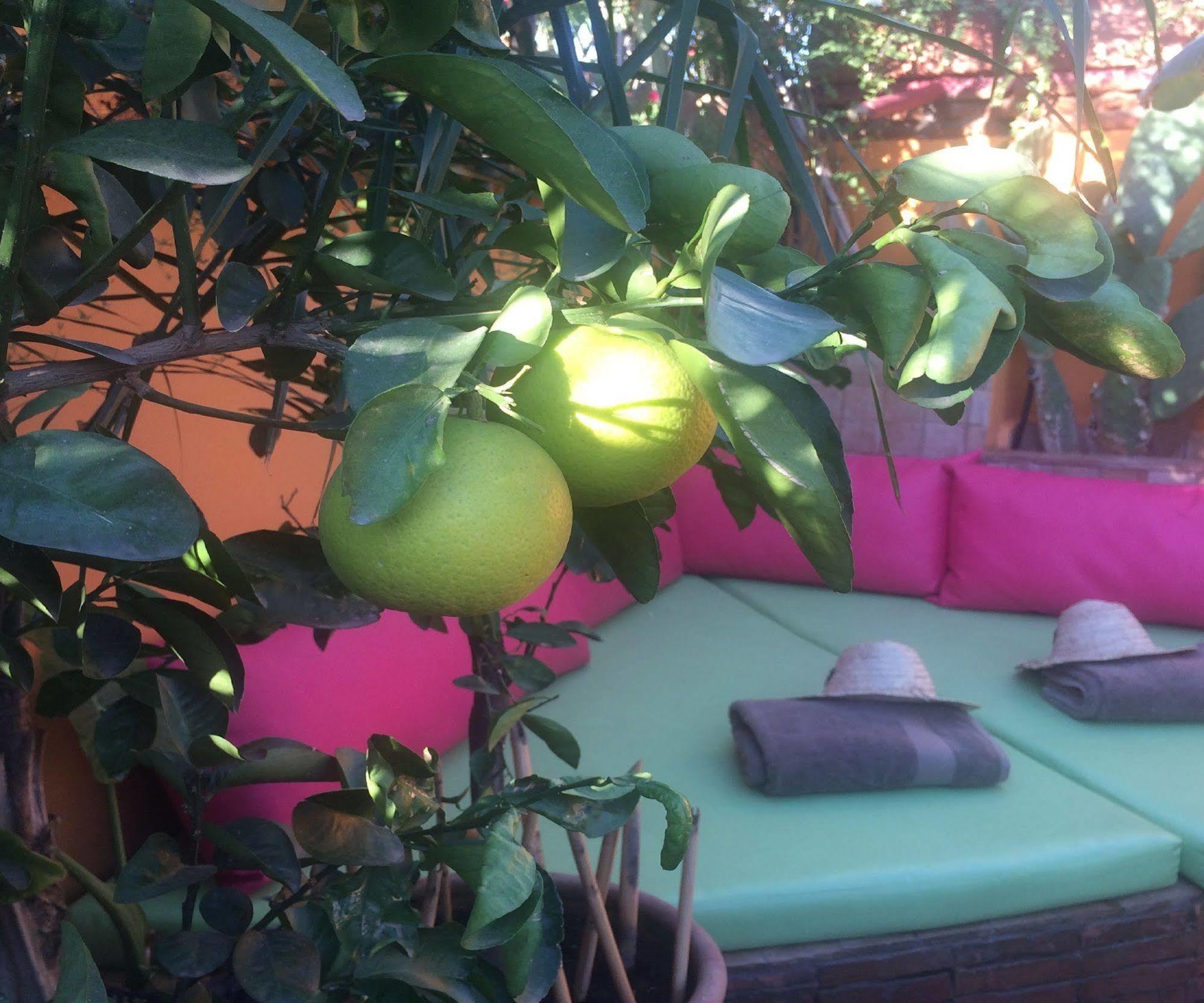 Riad Laith (Adults Only) Marrakesh Bagian luar foto